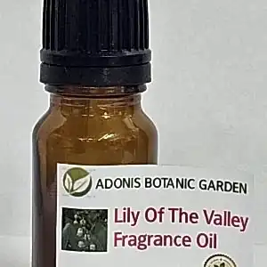 FR-12/Lilly Fragrance Oil
