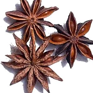 SP-12/Anise Star Big