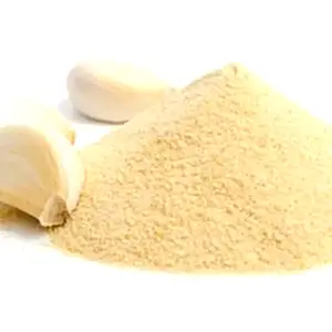 SP-05/Garlic Powder