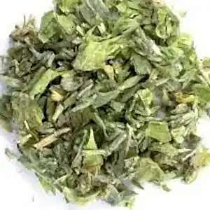 HE-10/Mountain Herb
