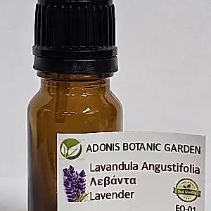 EO-01/Lavender Essential Oilp
