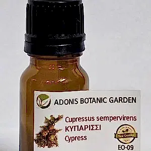 EO-09/Cypress Essential Oil