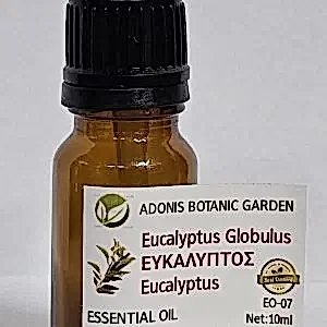EO-07/Eucalyptus Essential Oil