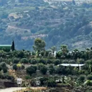 WS-00/Online Entrance Tickets